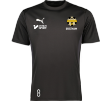 Puma teamGOAL Jersey 