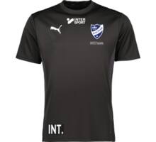 Puma teamGOAL Jersey  Svart