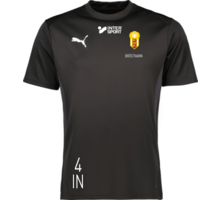 Puma teamGOAL Jersey 