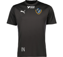 Puma teamGOAL Jersey 