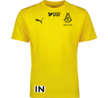 teamGOAL Jersey 