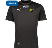 Puma teamGOAL Jersey Jr 