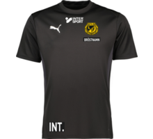 Puma teamGOAL Jersey Jr 