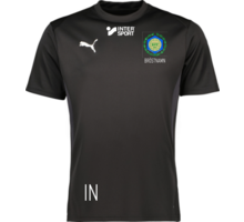 Puma teamGOAL Jersey Jr 