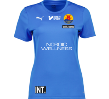 Puma teamGOAL Jersey W 