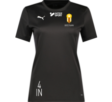 Puma teamGOAL Jersey W 