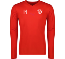 Puma teamGOAL Baselayer Tee LS 