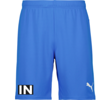 Puma teamGOAL Shorts 