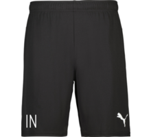 Puma teamGOAL Shorts 