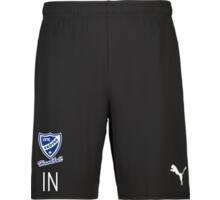 teamGOAL Shorts 