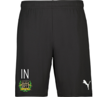 Puma teamGOAL Shorts 