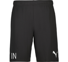 Puma teamGOAL Shorts 