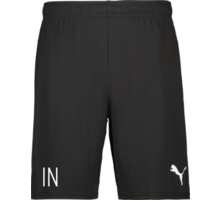 Puma teamGOAL Shorts 