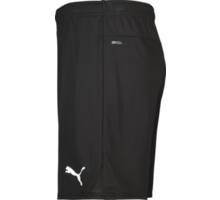 Puma teamGOAL Shorts  Svart