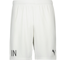 Puma teamGOAL Shorts 