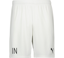 Puma teamGOAL Shorts 