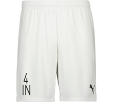 Puma teamGOAL Shorts 