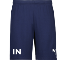 Puma teamGOAL Shorts 