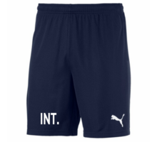 teamGOAL Shorts 