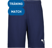 Puma teamGOAL Shorts 