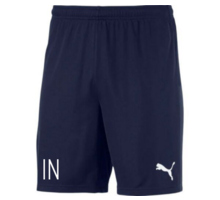 Puma teamGOAL Shorts 