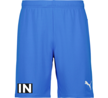 Puma teamGOAL Shorts Jr 