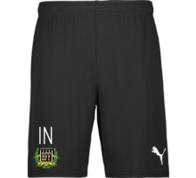 Puma teamGOAL Shorts Jr 