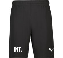 Puma teamGOAL Shorts Jr 