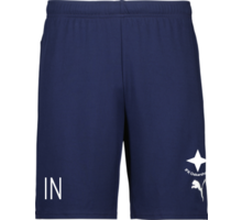 Puma teamGOAL Shorts Jr 