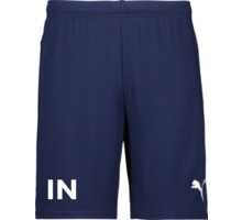 Puma teamGOAL Shorts Jr 