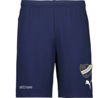 teamGOAL Shorts Jr 
