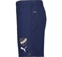teamGOAL Shorts Jr 