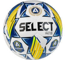 Select League Pro Allsvenskan 24 fotboll Flerfärgad