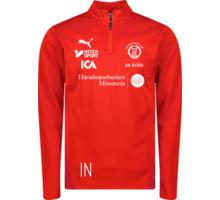 teamGOAL Training 1/4 Zip Träningströja 