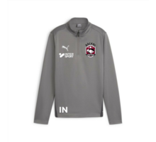 teamGOAL Training 1/4 Zip Träningströja 