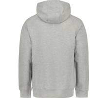 CLEAR COLLAR Raglan M Hoody Grå