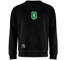 Raglan Jr sweatshirt