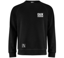 Raglan Jr sweatshirt