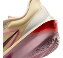Nike ZOOM FLY 6 KOLFIBERSKOR Flerfärgad