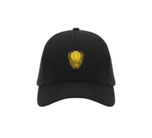 Merchandise Classic Cap