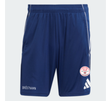 Tiro 25 C TR träningsshorts