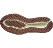 Salomon AERO GLIDE 3 GRVL LÖPARSKOR Beige