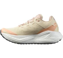 Salomon AERO GLIDE 3 GRVL LÖPARSKOR Beige