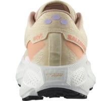 Salomon AERO GLIDE 3 GRVL LÖPARSKOR Beige