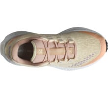 Salomon AERO GLIDE 3 GRVL LÖPARSKOR Beige