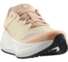 Salomon AERO GLIDE 3 GRVL LÖPARSKOR Beige