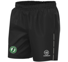 Team Training Yth shorts