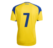 Sweden 26 Home M matchtröja
