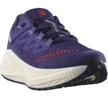 Salomon AERO GLIDE 3 GRVL LÖPARSKOR Blå