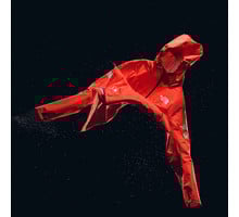 The North Face SUMMIT FL SUPERIOR JACKET LÖPARJACKA Orange